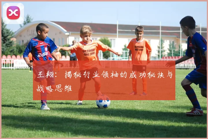 王翔：揭秘行业领袖的成功秘诀与战略思维