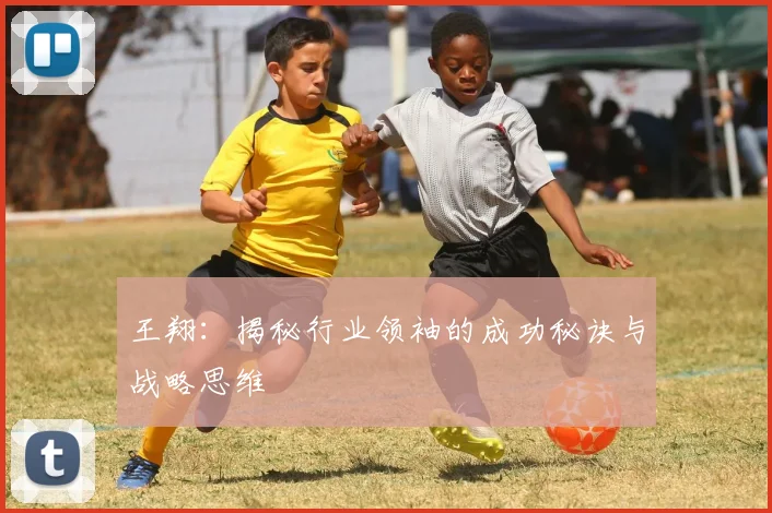 王翔:揭秘行业领袖的成功秘诀与战略思维