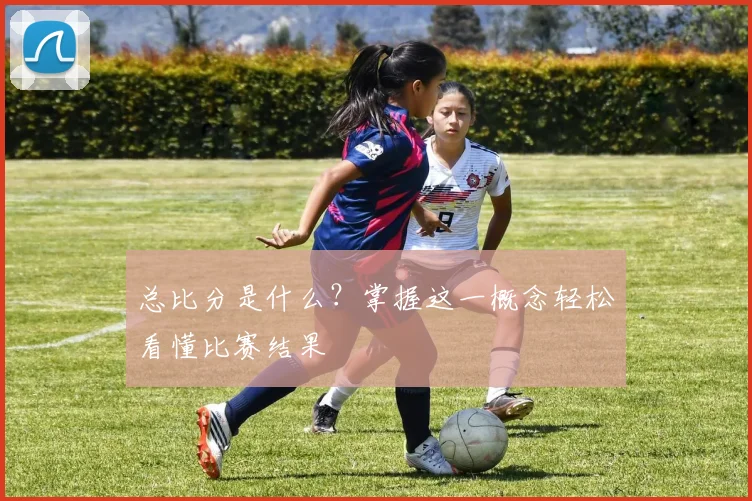 总比分是什么？掌握这一概念轻松看懂比赛结果
