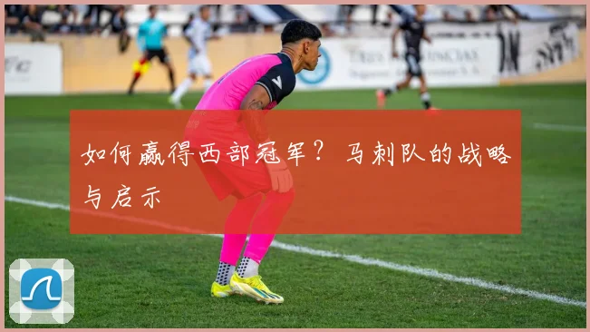 如何赢得西部冠军？马刺队的战略与启示