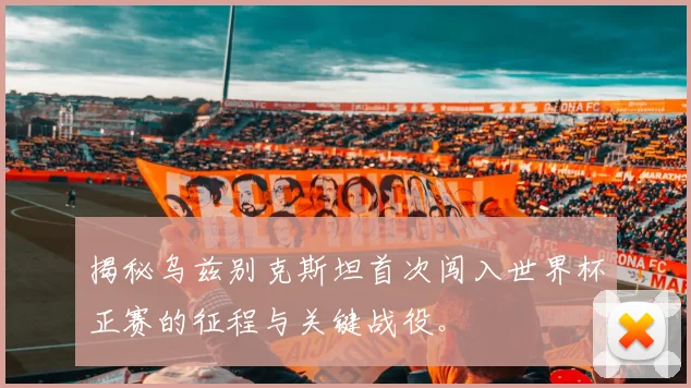 揭秘乌兹别克斯坦首次闯入世界杯正赛的征程与关键战役。