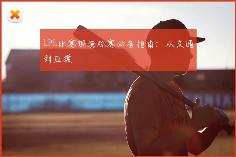 LPL比赛现场观赛必备指南:从交通到应援